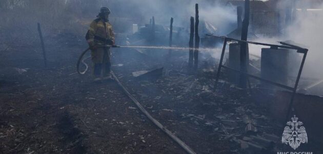 Фото: russia58.tv