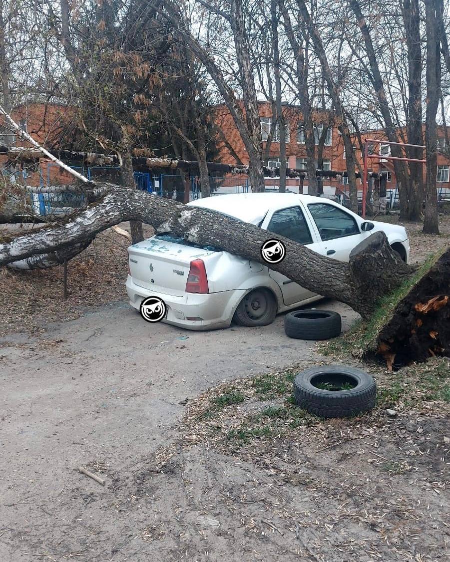 Пензенцы делятся последствиями сильного ветра. Соцсети | 14.04.2023 | Пенза  - БезФормата