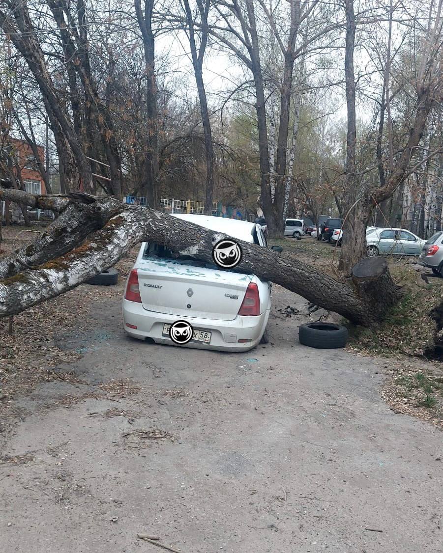 Пензенцы делятся последствиями сильного ветра. Соцсети | 14.04.2023 | Пенза  - БезФормата